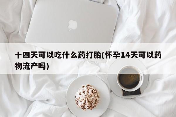 网上打胎药私人店,打胎药专卖十四天可以吃什么药打胎(怀孕14天可以药物流产吗)